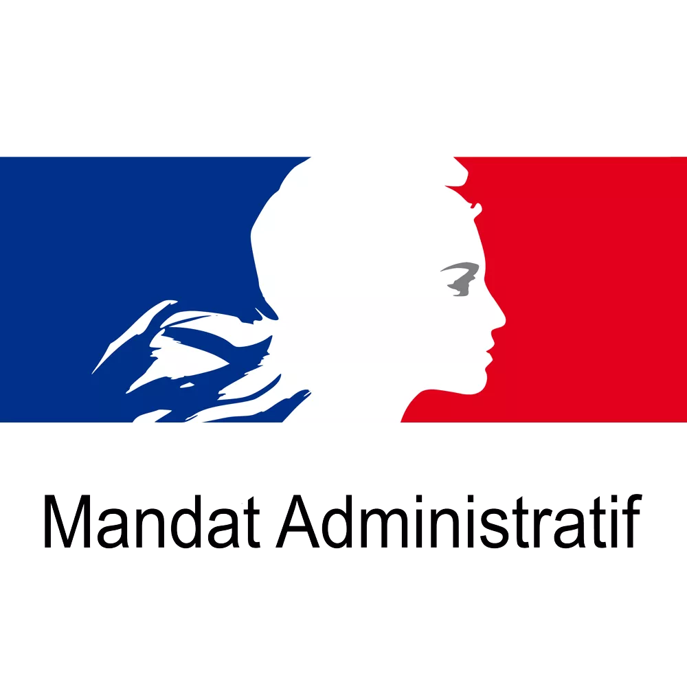 Custom image 6 alt text