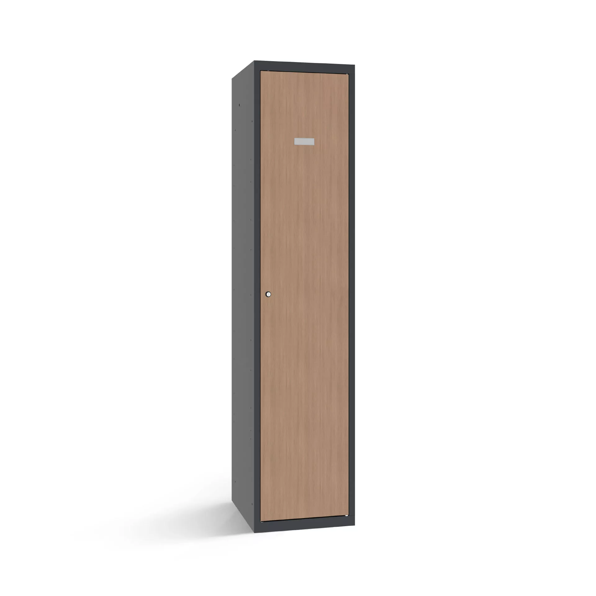 Vestiaire industrie sale avec 1 porte aspects bois - largeur 40 cm