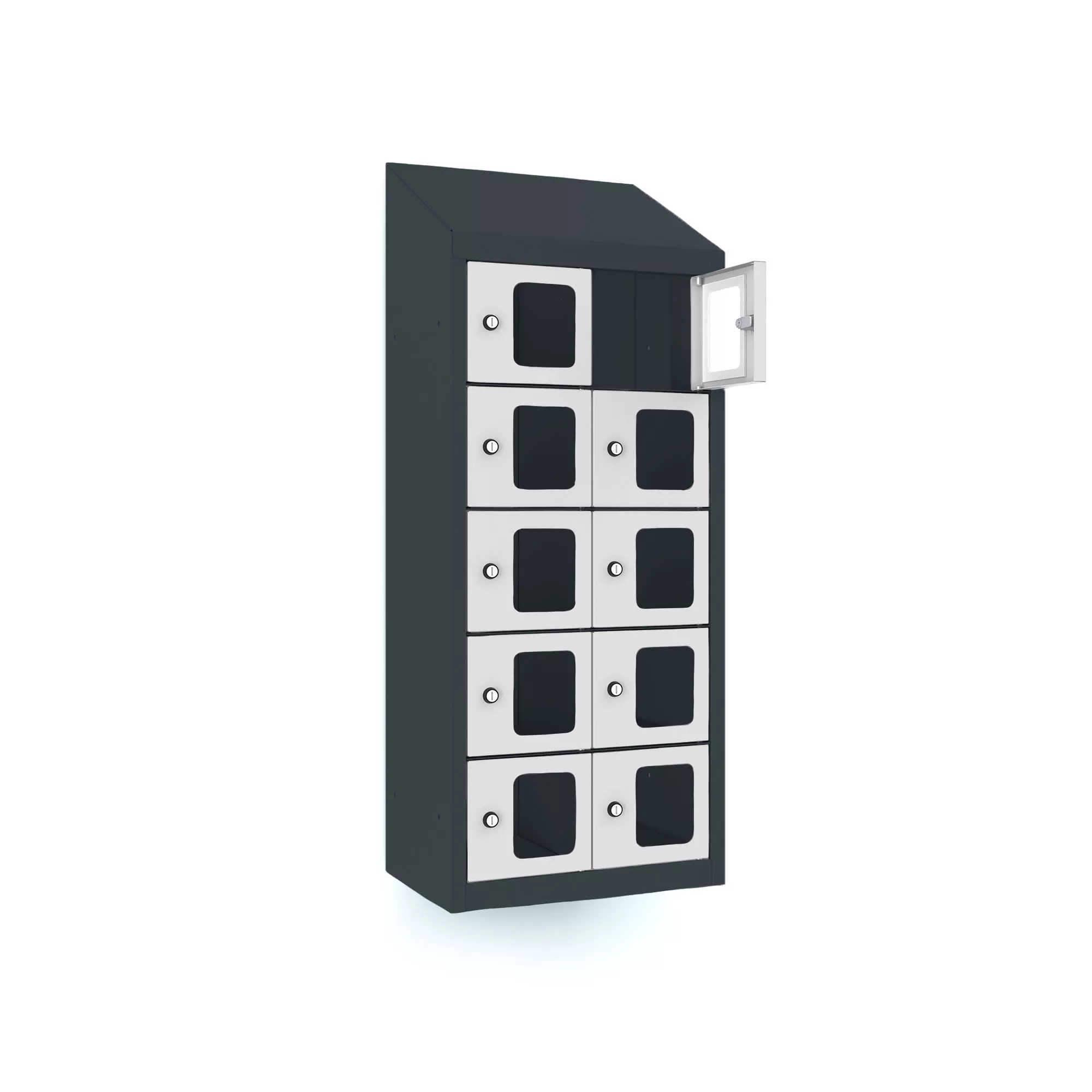 Mini-casiers 10 compartiments avec portes en plexiglas pour montage mural