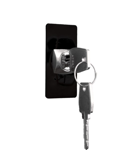 Cylinder lock with 2 keys - for lockeel® lockers and locker cabinets